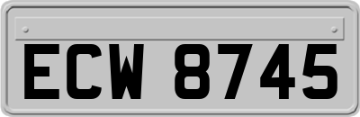 ECW8745
