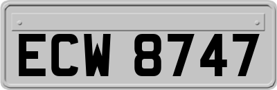 ECW8747