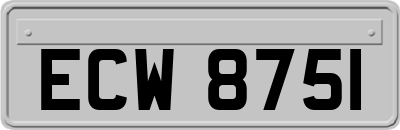 ECW8751