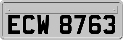 ECW8763