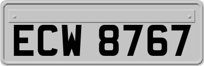 ECW8767