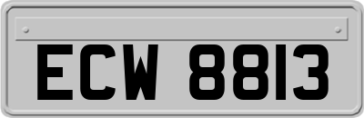 ECW8813
