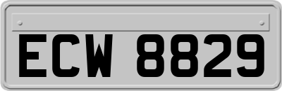 ECW8829