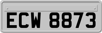 ECW8873