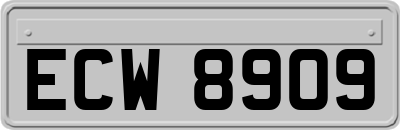 ECW8909