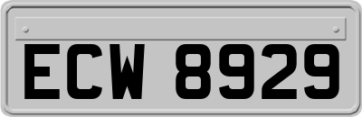 ECW8929