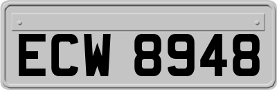 ECW8948