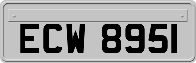 ECW8951