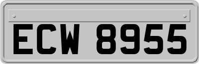 ECW8955