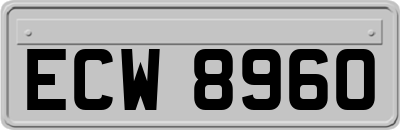 ECW8960