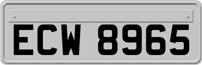 ECW8965