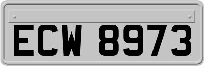 ECW8973