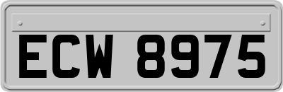 ECW8975