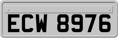 ECW8976