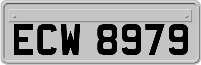 ECW8979