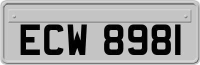 ECW8981