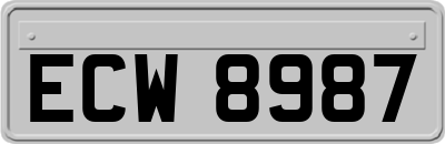 ECW8987
