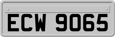 ECW9065