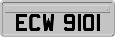 ECW9101