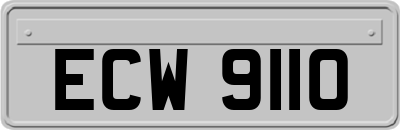 ECW9110