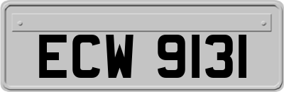 ECW9131