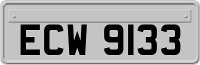 ECW9133