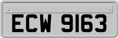 ECW9163
