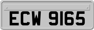 ECW9165