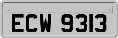 ECW9313