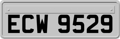 ECW9529