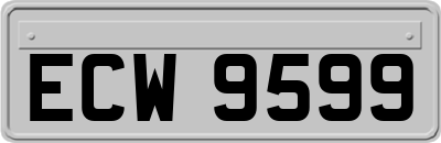 ECW9599