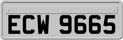 ECW9665