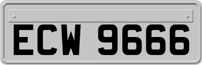 ECW9666
