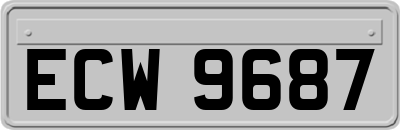 ECW9687