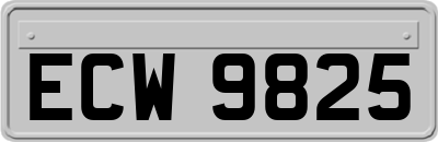 ECW9825