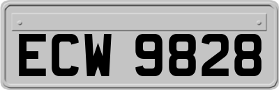ECW9828