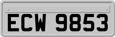 ECW9853