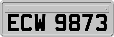 ECW9873