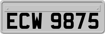 ECW9875