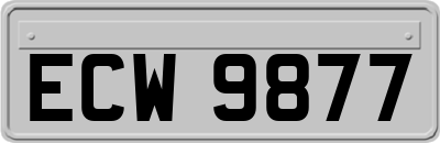 ECW9877