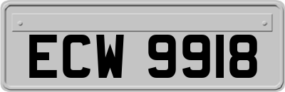 ECW9918