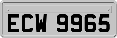 ECW9965