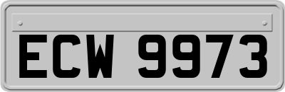 ECW9973
