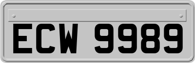 ECW9989