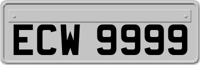ECW9999