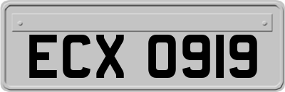 ECX0919