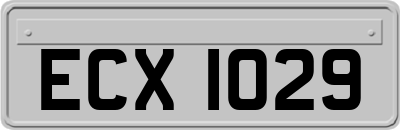 ECX1029