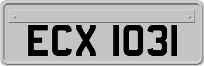 ECX1031