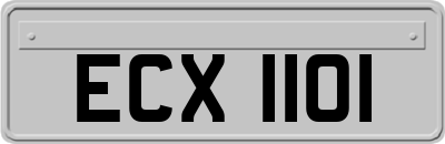 ECX1101