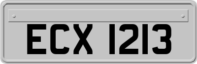 ECX1213